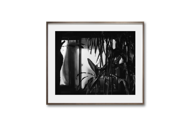 Awoiska van der Molen – №  391-12